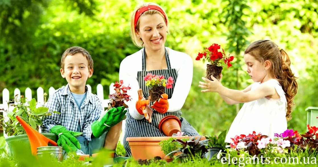 Is this their garden. Сады вдохновения абакан. Семейный сбор. Is this their garden. Многодетным семьи в огороде.