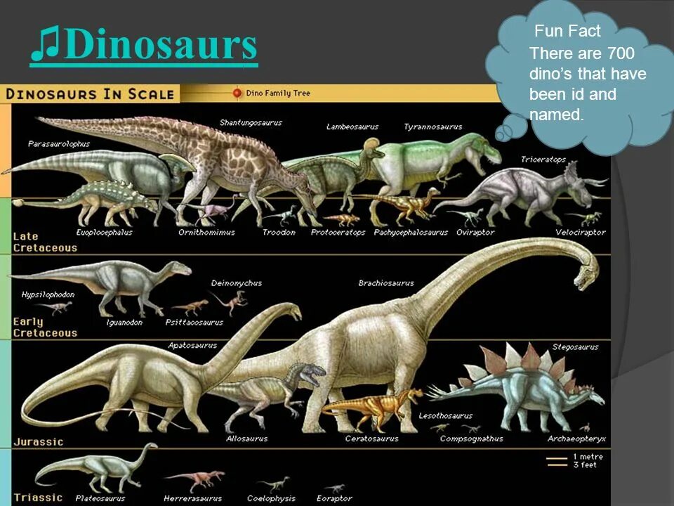 Сравнение динозавров. Виды динозавров. Название всех динозавров. Разные динозавры и их названия. Размеры динозавров.