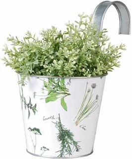 Plant w