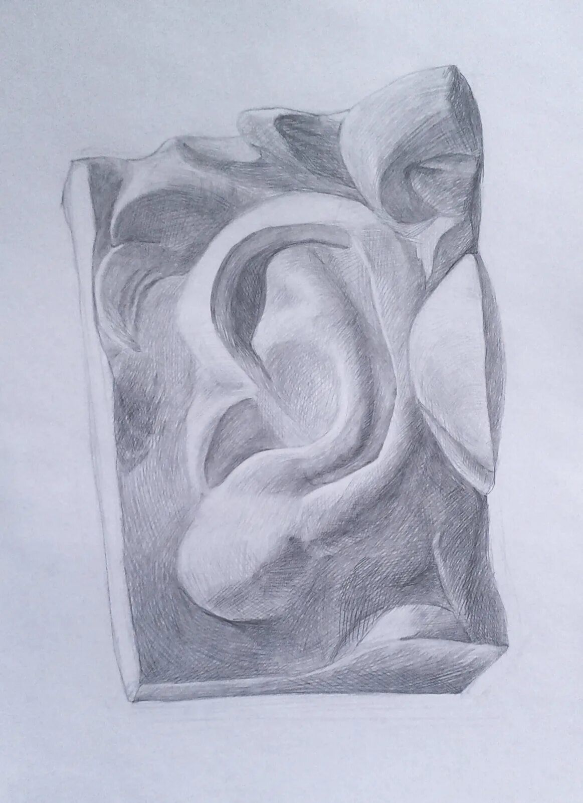 Нос давида академический гипс. Академический рисунок уха давида. Рисунок гипсового уха давида. Ухо давида академический рисунок. Рисунок гипсового слепка уха давида.