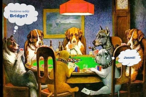Где собаки играют