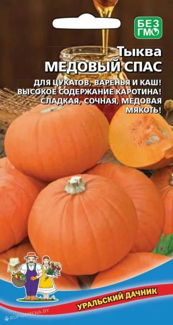 Тыква медовая крошка описание сорта. Тыква медовый август. тыква медовая крошка. тыква порционная сорта. тыква порционная семена.