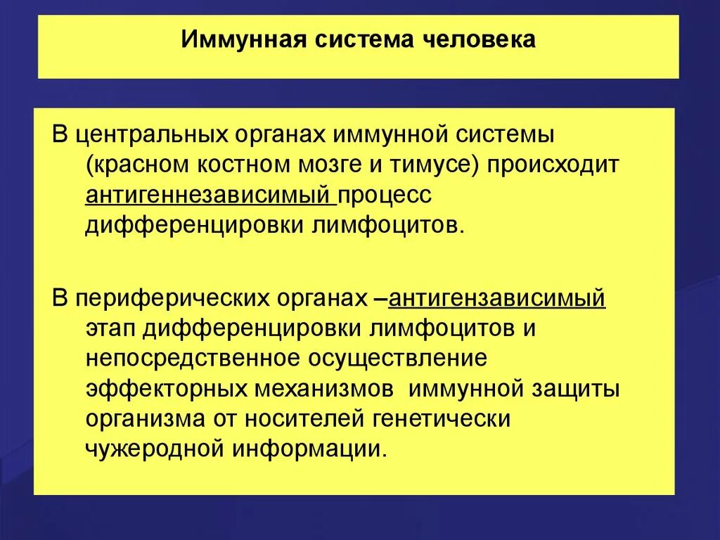 Иммунная система человека. Структурная организация иммунной системы. Принципы организации иммунной системы. Функции центральных и периферических органов иммунной системы.