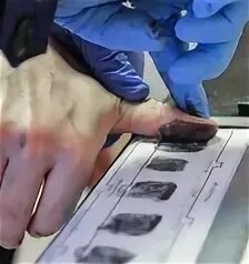 Где проходят дактилоскопию иностранные граждане