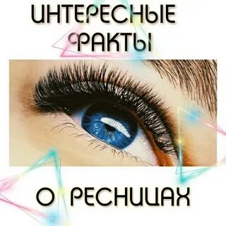 9 фактов