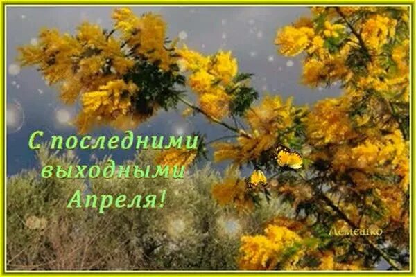 Хорошего дня последний день апреля. С последними апрельскими выходными. последние выходные апреля. с последним днем апреля. споследнтм днем апреля.