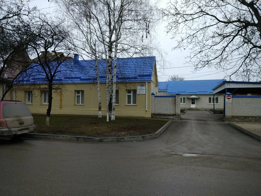 ветлечебница пятигорск. реклама ветеринарной клиники. ветклиника пятигорск набережная. ветеринарка пятигорск. первомайская 60 пятигорск.