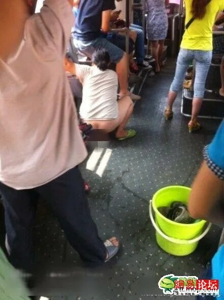 Остров пхи-пхи таиланд гугл мап. Пипи детишки. Девушку приспичило на улице. Мальчик писает в бассейн. Девочки пи пи коллекция.