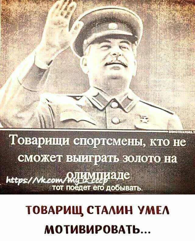 Кто автор высказывания сам погибай а товарища. Высказывания товарища сталина. сталин приколы. высказывания сталина смешные. цитаты сталина.