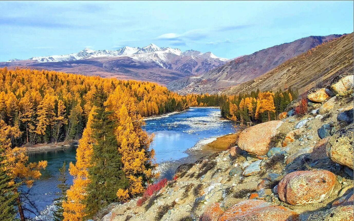 Осень в горном. Горный алтай катунь осень. Золотые горы алтая природа. Чуйский тракт природа катунь осень. Горный алтай осенью.