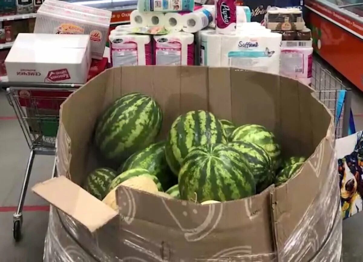 какие арбузы в пятерочке. арбуз из пятерочки. акция на арбузы в пятерочке. арбуз база. пятерочка арбуз 2022.