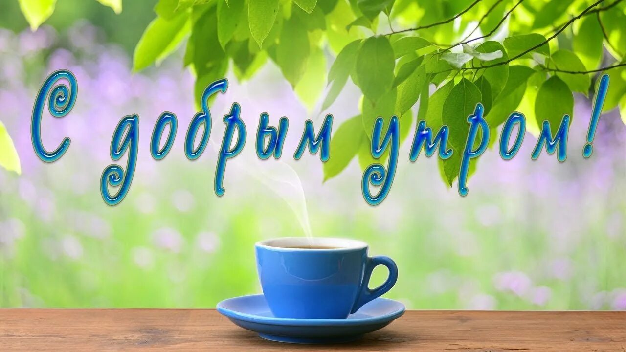 Красивые пожелания с добрым утром. Пожелания с добрым утром мужчине. Добра с утра. С добрым утром. Открытки доброе утро.