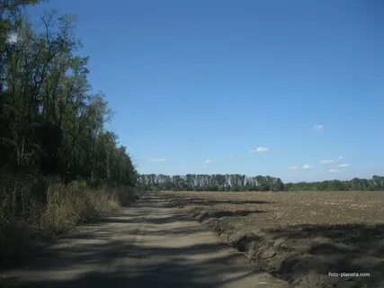 Погода в новоясенской краснодарский край староминский