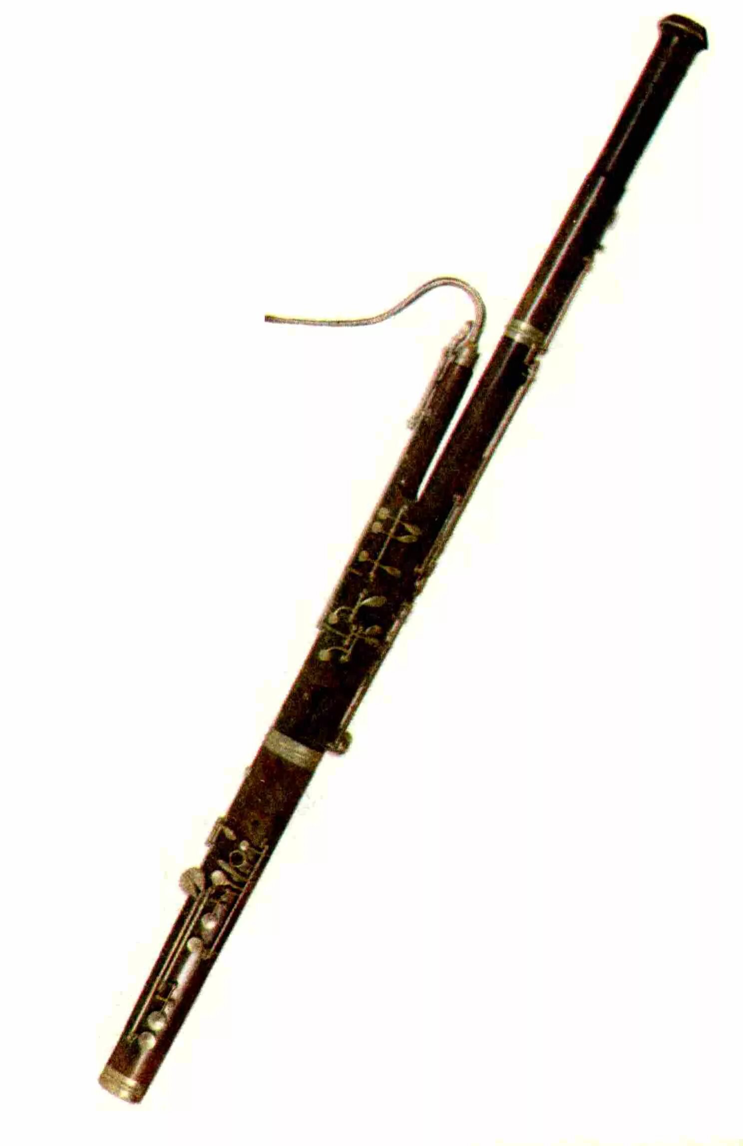 Bassoon (Woodwind family) figures prominently in orchestral, concert band and ch