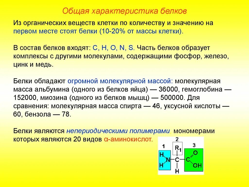 Каковы особенности строения белков выберите три. Общая характеристика белков химия. органические вещества клетки белки основная масса клетки. характеристика и свойства белков. общая характеристика белков кратко.