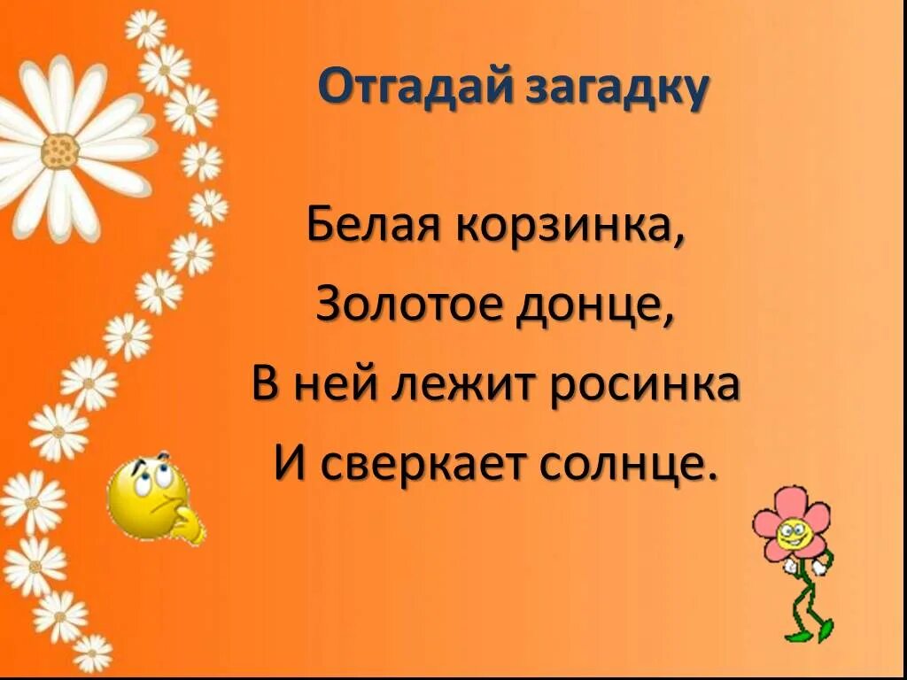 Отгадай загадку нарядные платьица желтые брошки. Нарядные платьица желтые брошки ни пятнышка нет. Загадка нарядные платьица желтые брошки. Загадки отгадывать нарядные платьица желтые брошки. Загадка нарядные платьица желтые.