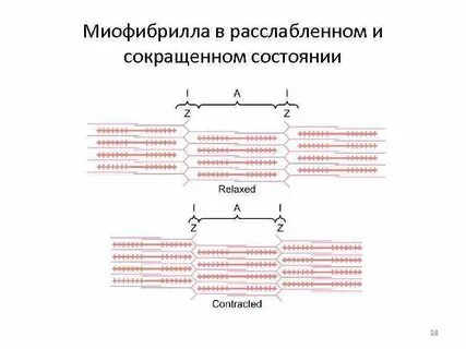 Сократили состояние