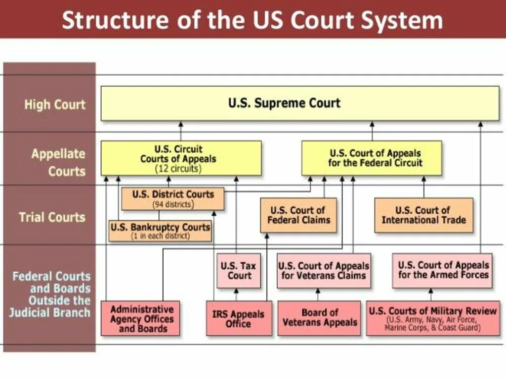 Structure both and. Federal court system in the usa. us court system. state court system usa. structure of the state court system.