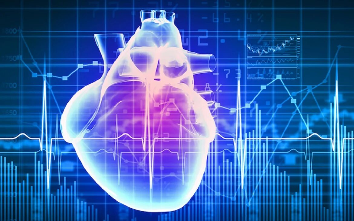 Heart science