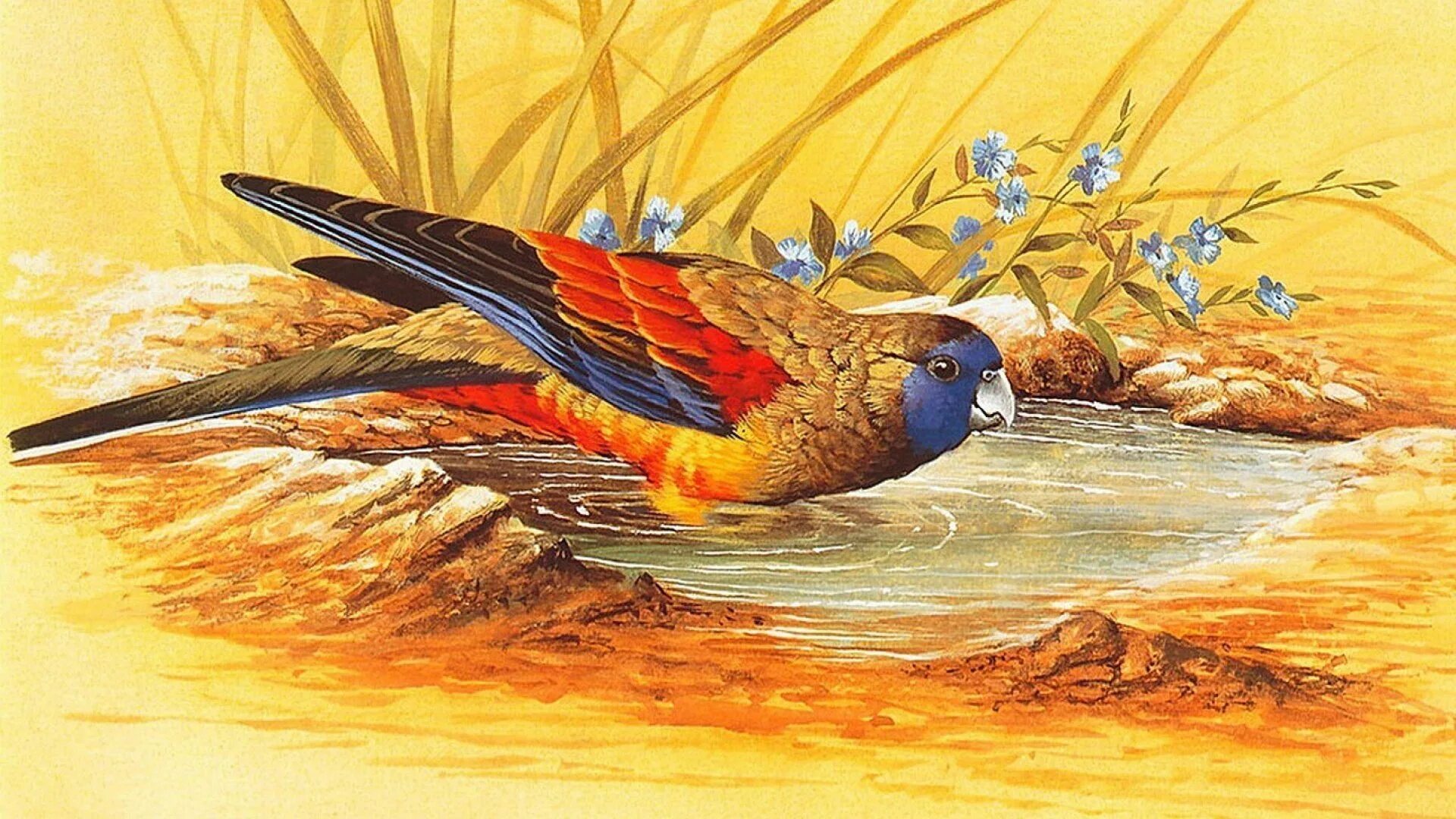 Художник анималист а. Картины животных и птиц. Эрик шеферд птицы. Гнездо сипухи. Художник-анималист даниэль смит лисы.