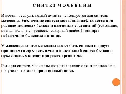 Мочевина белковый обмен