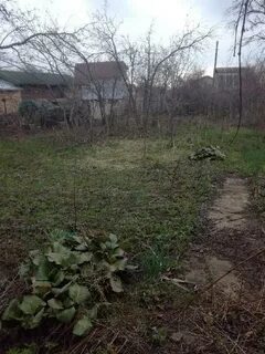 Садоводческое товарищество 7