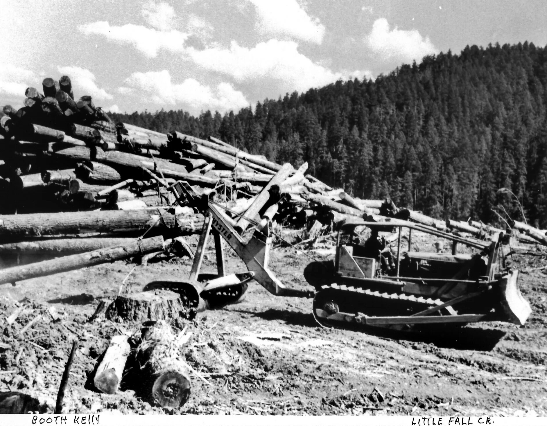 Logging persistent