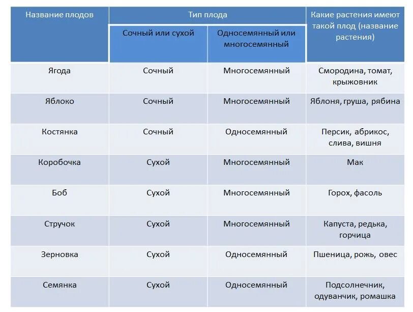 Заполните таблицу типы плодов 6 класс. Название плодов тип плода таблица. название плодов таблица 6 класс биология. типы плодов таблица 6 класс по биологии. биология таблица название плода тип плода.