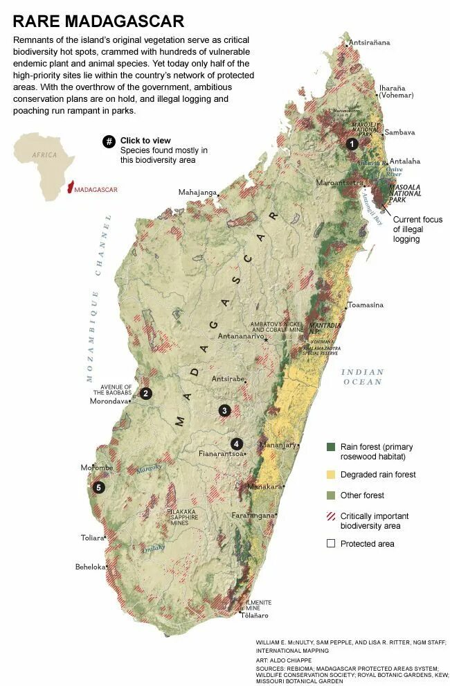 Мадагаскар карт 3. Мадагаскар на карте. Каменный лес Мадагаскар на карте. Амбатови Мадагаскар. Natural area Map of Madagascar.