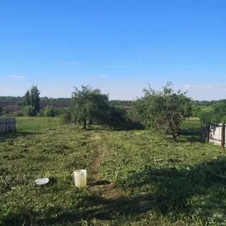 Погода рязанская область михайловский село виленка