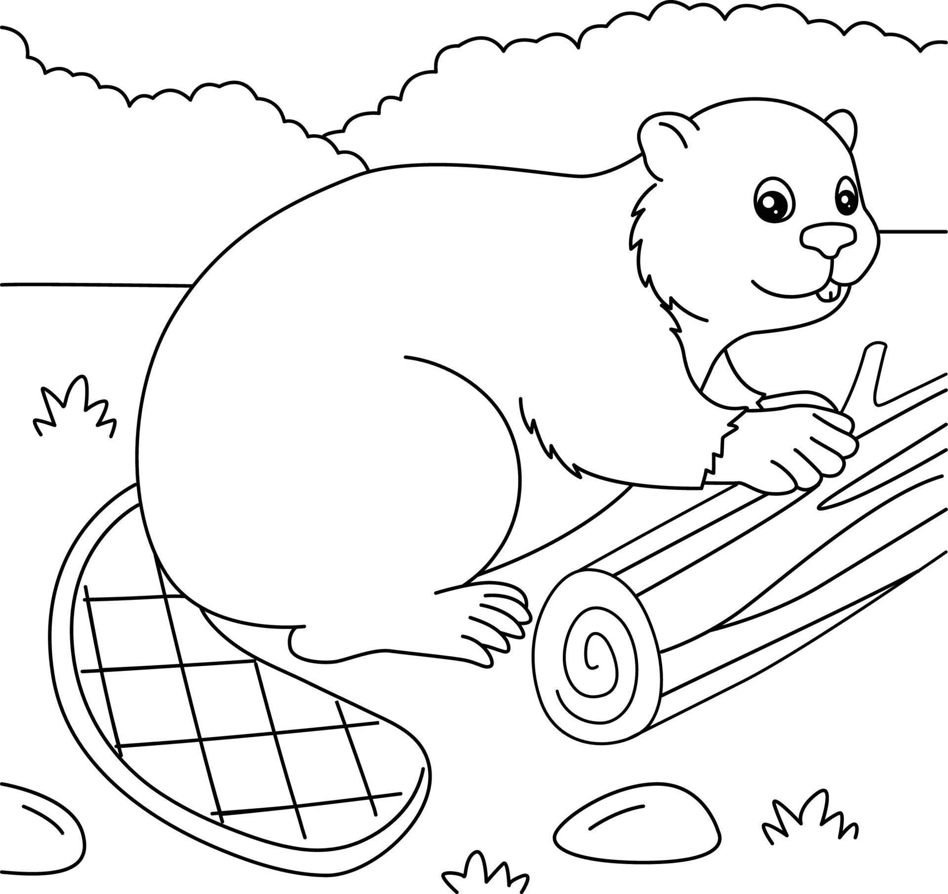 Beaver coloring page Coloring pages, Beaver, Coloring pages for kids