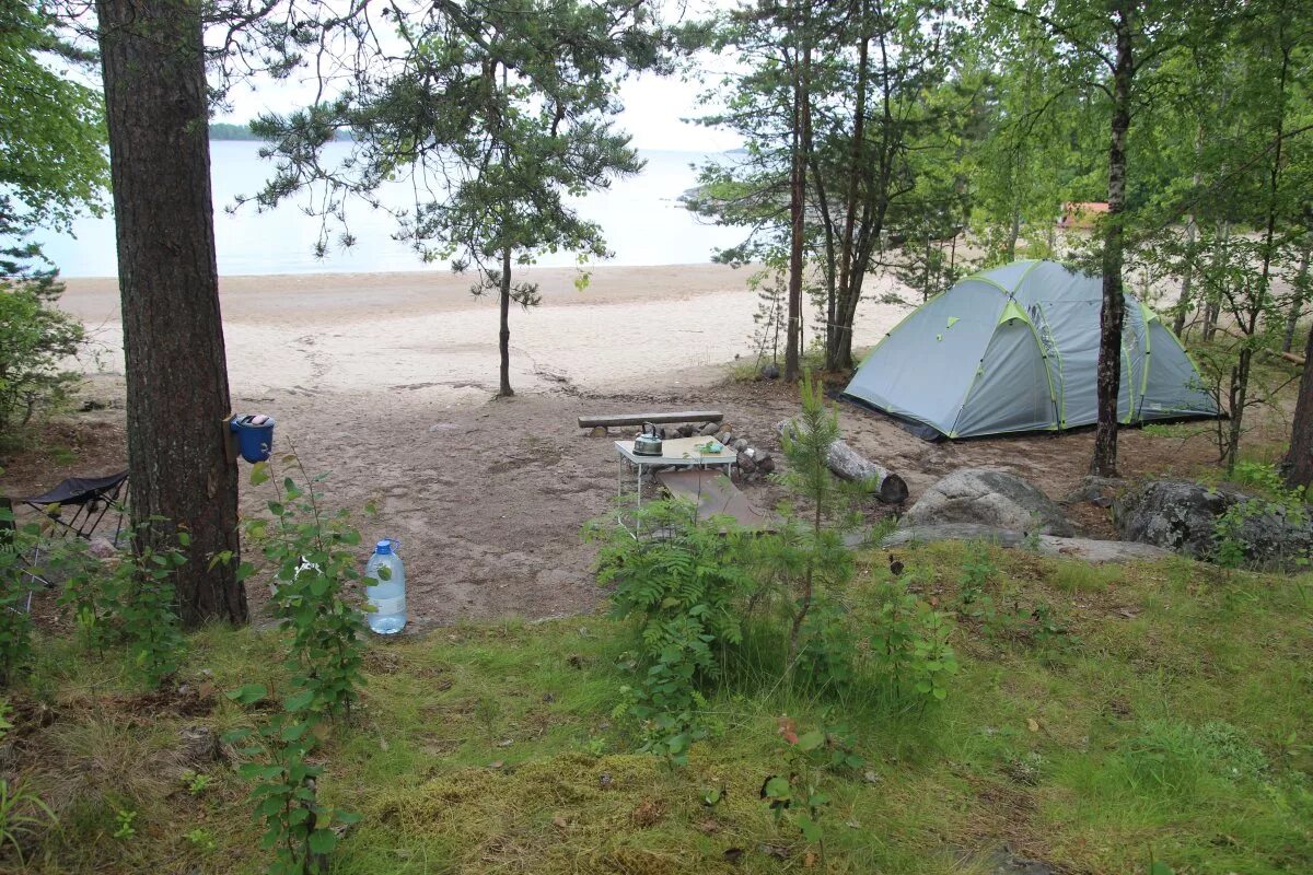 Кемпинг с палатками в ленинградской. Кемпинг парк ладога. озеро калды палаточный лагерь. кемпинг на ладожском озере. ладожское озеро палаточный лагерь.