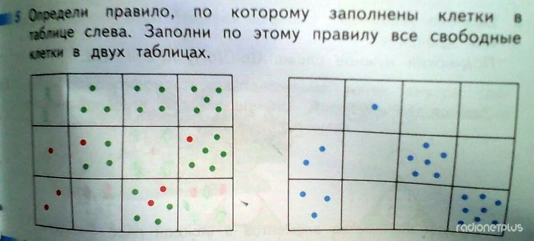 Сколько клеток по математике 1 класс