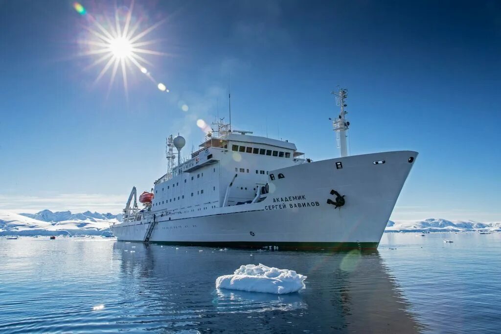 First ocean. Академик Вавилов судно.