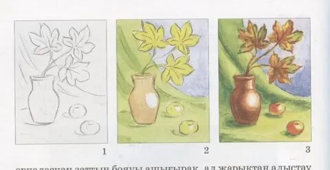 Бір адамның бірнеше жыныс мүшесі бар