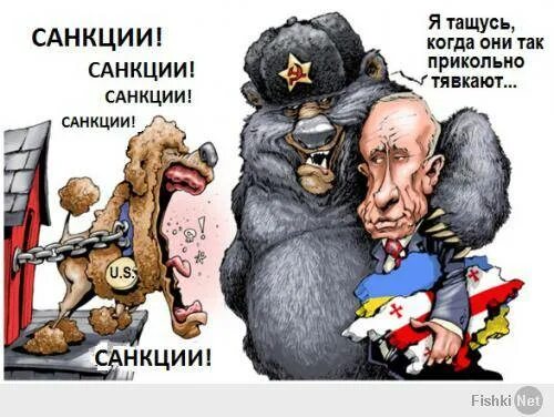 Санкиции только на пользу. Виды санкций и примеры. Санкиции только на пользу. Приколы про санкции. Санкции носят исключительно порицательный характер верно.