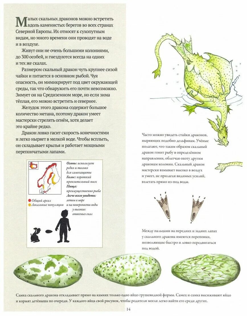 северные драконы и искусство их обнаружения. линдерут к. северные драконы и искусство их обнаружения книга. северный дракон. карин линдерут северные драконы и искусство их обнаружения.