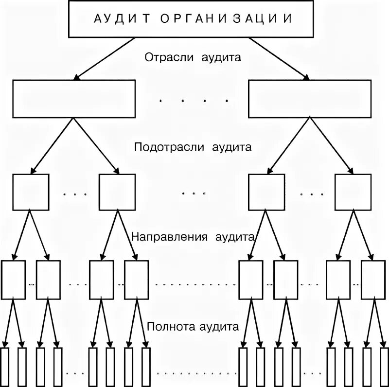 Аудит сети. Организационная структура аудиторской компании. Схемы сетевых структур управления аудиторская фирма. Основные направления аудита организационной структуры управления:.