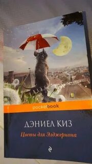 Цитаты элджернона