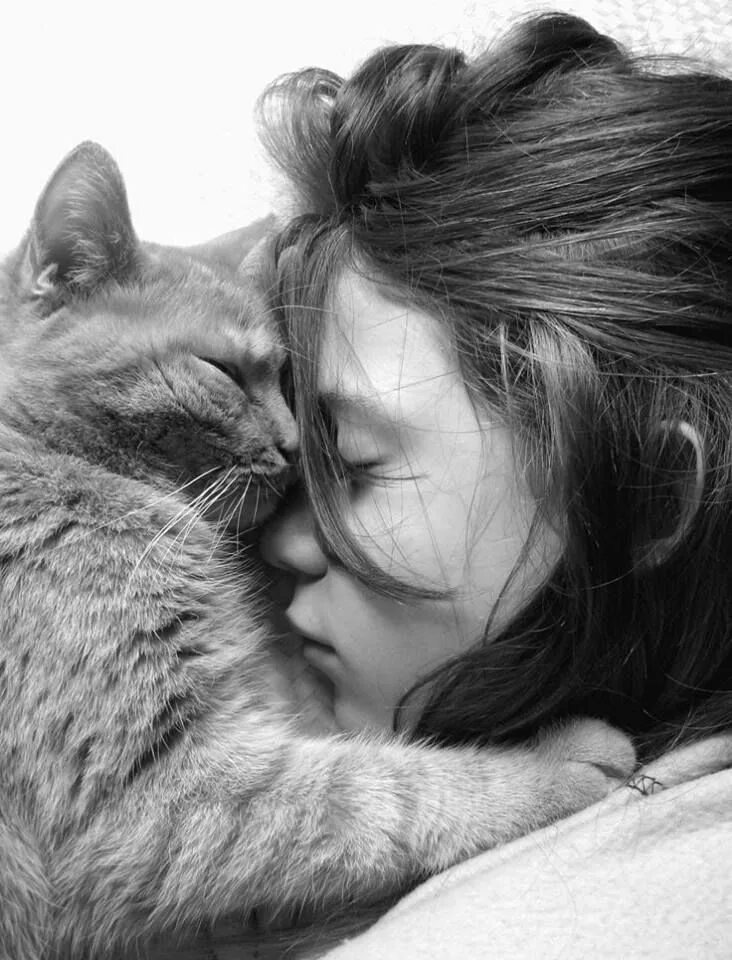 Кот и дева. Девушка с котом. красивая девушка с котом. кот обнимашки. девушка обнимает кота.