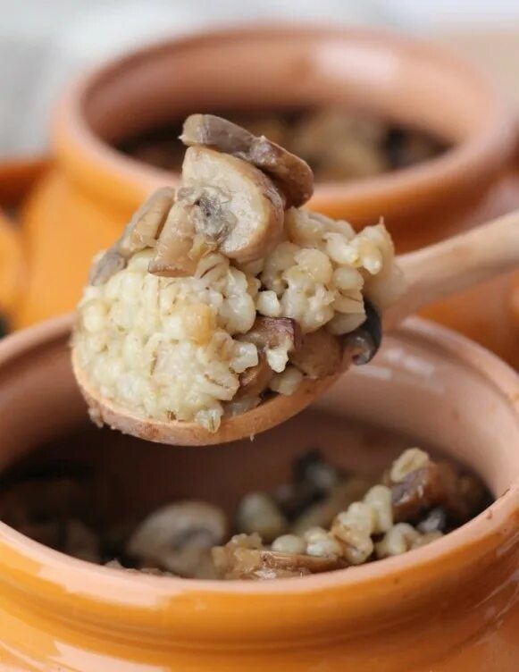 каша в горшочке с грибами. каша в горшочке с грибами. гречка в горшочке. говядина с гречкой в горшочке. перловка в горшочке с овощами и грибами.