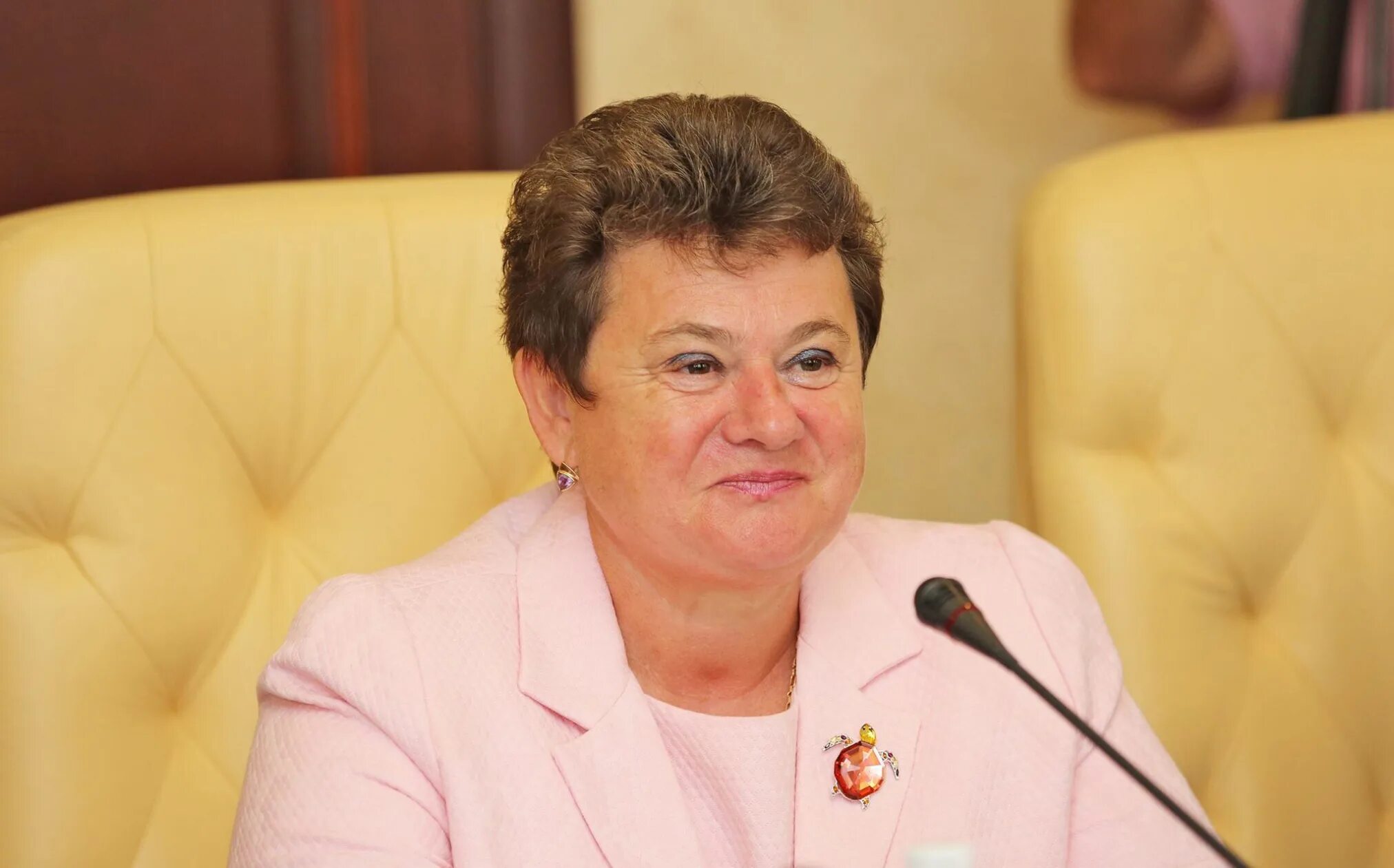 Орлова светлана юрьевна губернатор. Светлана орлова владимир. Орлова светлана юрьевна счетная палата. Орлова губернатор владимирской области. Орлова светлана палата.