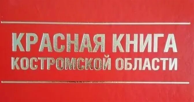 Животные красной книги костромской области презентация