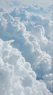 Nasteisha insomnia sky