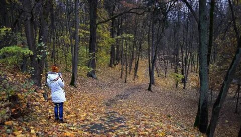 Осень в лесу мы часто ходим