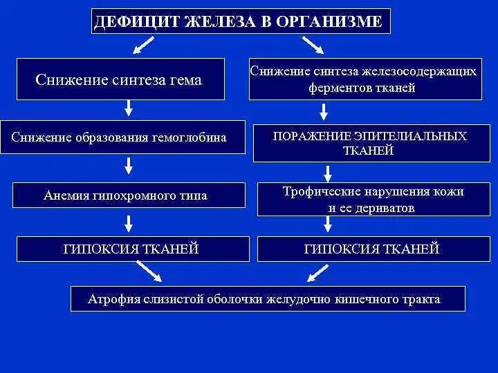 Причины дефицита железа. Причины дефицита железа в организме. Причины недостатка железа в организме человека. Профилактика дефицита железа в организме.