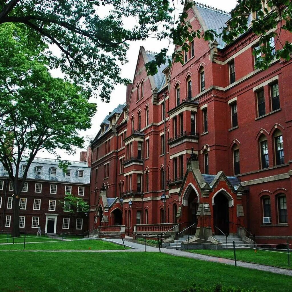 Harvard script
