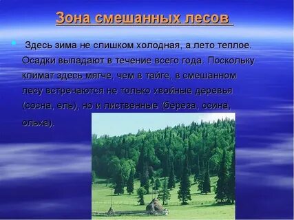 Лесные климатические зоны