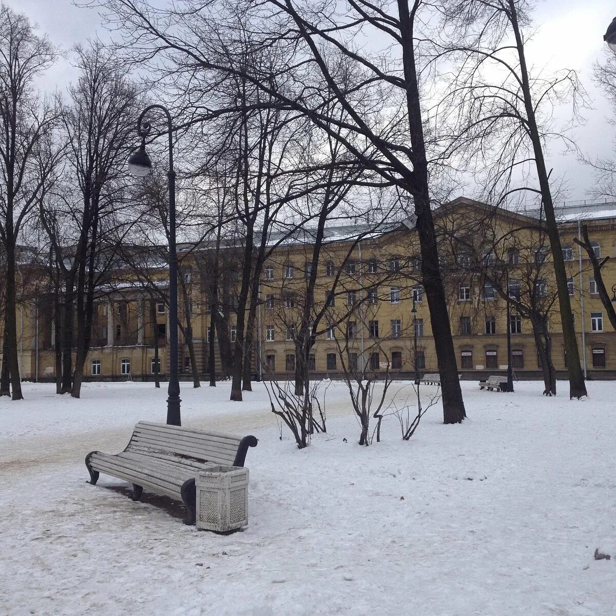 Сад Олимпия Санкт-Петербург. Парк Олимпия СПБ. Сад Олимпия на Московском проспекте. Сад Олимпия Питер.