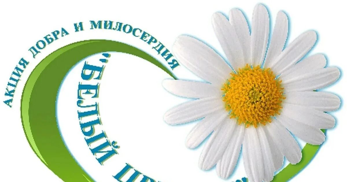 Акция белый цветок жизни. Бел акция. Бел акция. Акция благотворительности белый цветок. Областная акция белый цветок.